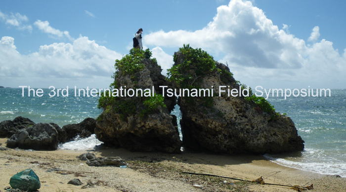 Coral boulders deposited by the 1771 Meiwa Earthquake Tsunami