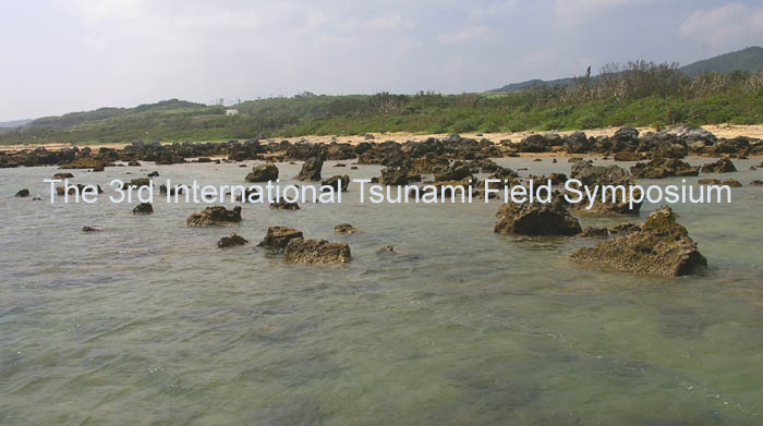 Coral boulders deposited by the 1771 Meiwa Earthquake Tsunami