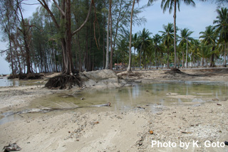 Coastal erosion caused by the 2004 Indian Ocean Tsunami